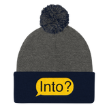 Into? (Beanie)-Beanie-Swish Embassy