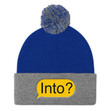 Into? (Beanie)-Beanie-Swish Embassy