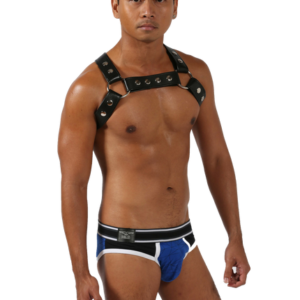 Manchester (Harness)-Leather-Swish Embassy
