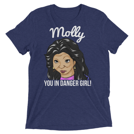 Molly You in Danger (Retail Triblend)-Triblend T-Shirt-Swish Embassy