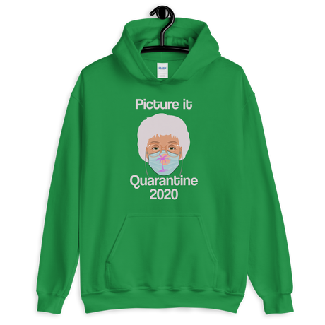 Picture It Quarantine 2020 (Hoodie)-Hoodie-Swish Embassy