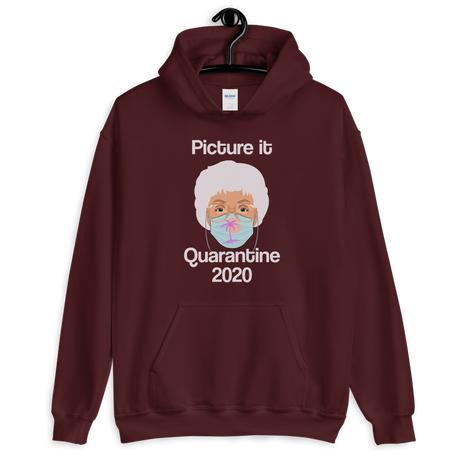 Picture It Quarantine 2020 (Hoodie)-Hoodie-Swish Embassy