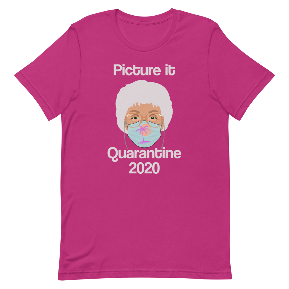 Picture it Quarantine 2020-T-Shirts-Swish Embassy