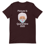 Picture it Quarantine 2020-T-Shirts-Swish Embassy