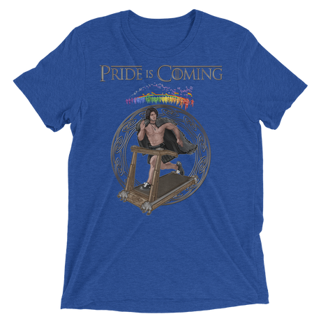 Pride is Coming (Retail Triblend)-Triblend T-Shirt-Swish Embassy