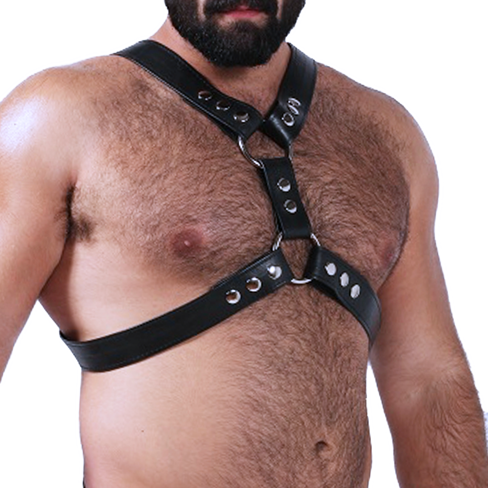 Silverlake (Harness)-Leather-Swish Embassy