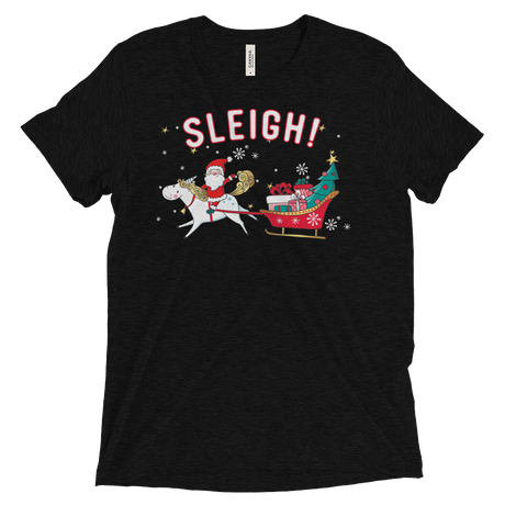 Sleigh! (Retail Triblend)-Triblend T-Shirt-Swish Embassy