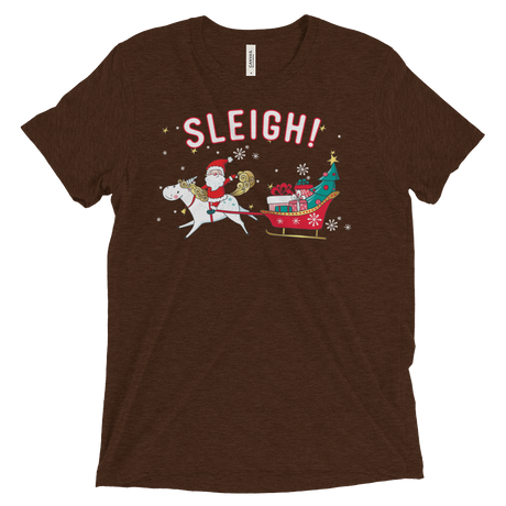 Sleigh! (Retail Triblend)-Triblend T-Shirt-Swish Embassy