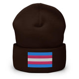 Trans Pride (Beanie)-Beanie-Swish Embassy