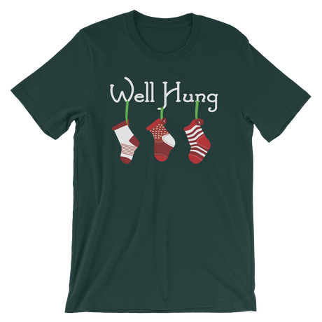 Well Hung Stockings-Christmas T-Shirts-Swish Embassy