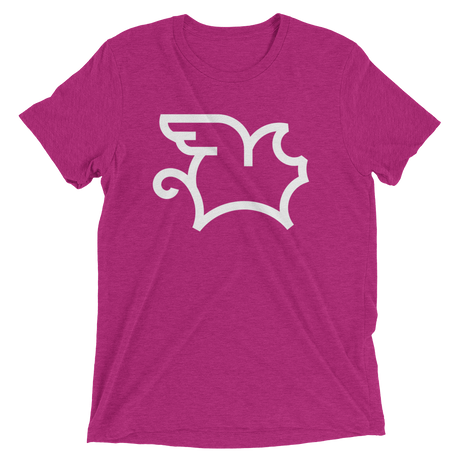 When Pigs Fly (Retail Triblend)-Triblend T-Shirt-Swish Embassy