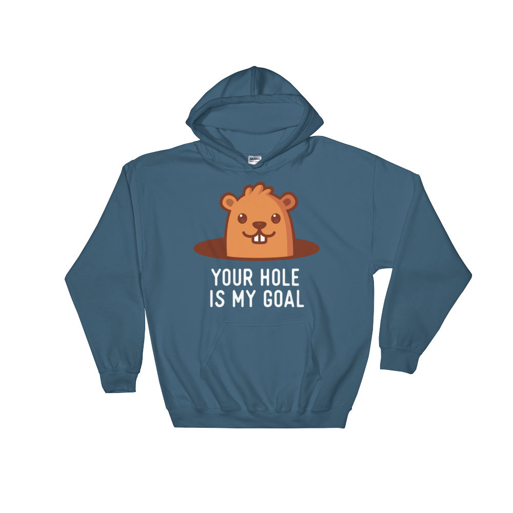 Your Hole is My Goal (Hoodie)-Hoodie-Swish Embassy