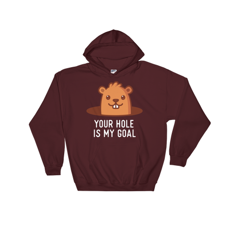 Your Hole is My Goal (Hoodie)-Hoodie-Swish Embassy