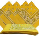 Paisley Hanky Code Bandana-Swish Embassy